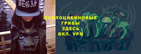 хмурый Осинники