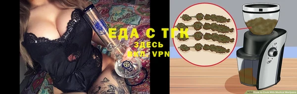 хмурый Осинники