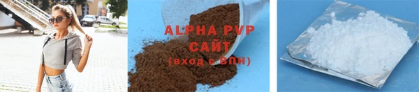 хмурый Осинники