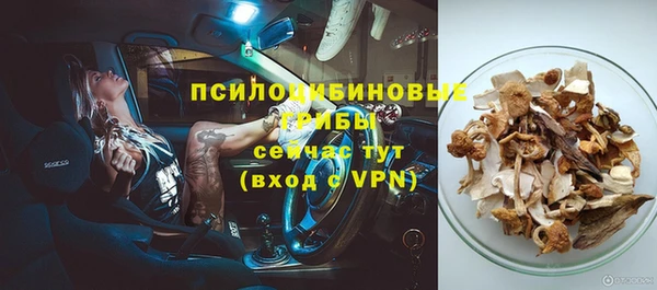 хмурый Осинники