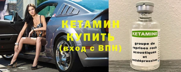 хмурый Осинники