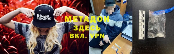 хмурый Осинники