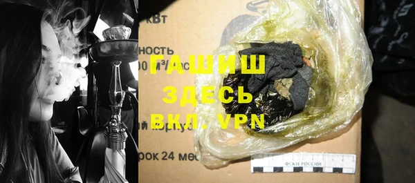 хмурый Осинники
