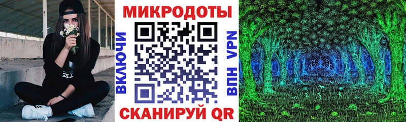 Купить где  Сенгилей  Галлюциногенные грибы Psilocybine cubensis 